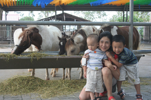 1732573843.jpg - 20100930嘉義新港板頭村交趾剪粘藝術村+棕櫚湖度假村+獨角仙農場